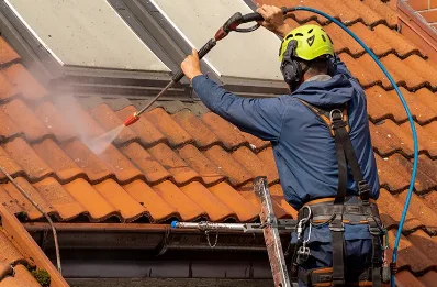 Démoussage et hydrofuge de toiture à Saint-Julien-du-Verdon